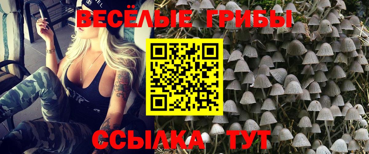 Кинель  Псилоцибиновые грибы Magic Shrooms  Псилоцибиновые грибы Psilocybine cubensis  Вход с VPN 